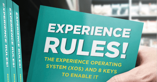 Image of Experience Rules Title Cover