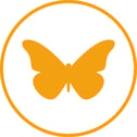 Customer Experience Transformation