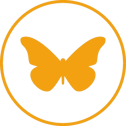 Customer-Experience-Transformation-removebg-preview