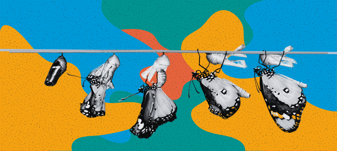 Blog Post Images (46)