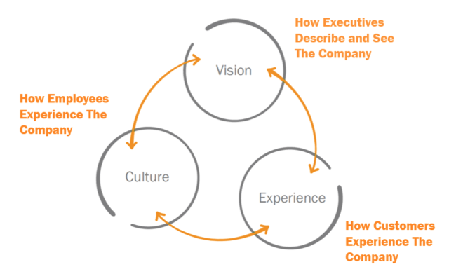 How to Find—and Close—Vision, Culture, and Experience Gaps